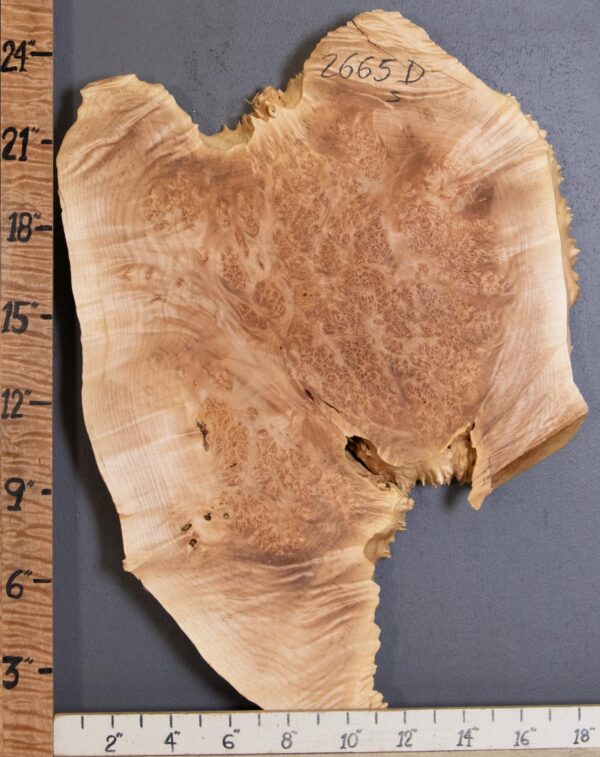 5A Burl Maple with Live Edge Lumber 16" X 21" X 1"3/4 (NWT-2665D) - Image 2