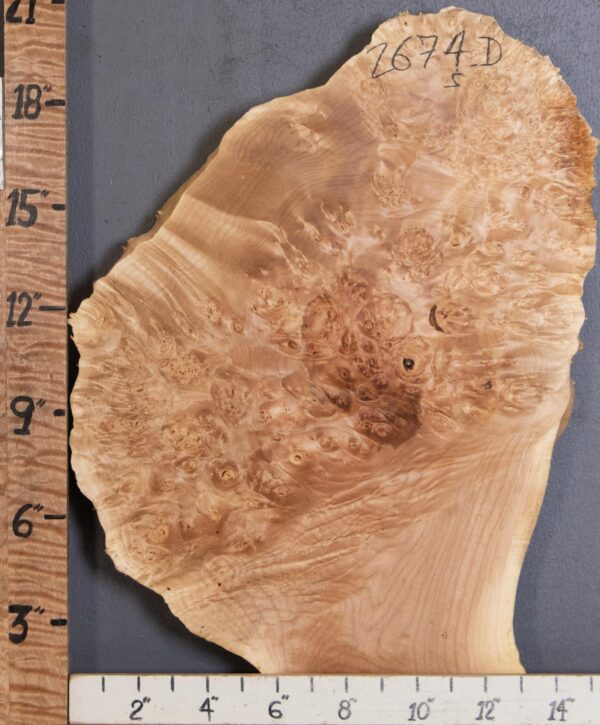 5A Burl Maple with Live Edge Lumber 14" X 19" X 1"3/4 (NWT-2674D) - Image 2