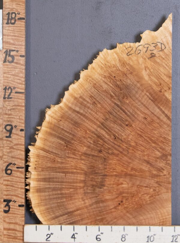 5A Burl Spalted Maple with Live Edge Lumber 11" X 16" X 1"1/4 (NWT-2693D) - Image 2