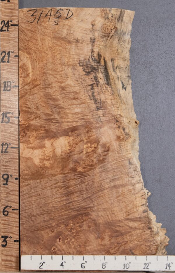 5A Spalted Burl Curly Maple