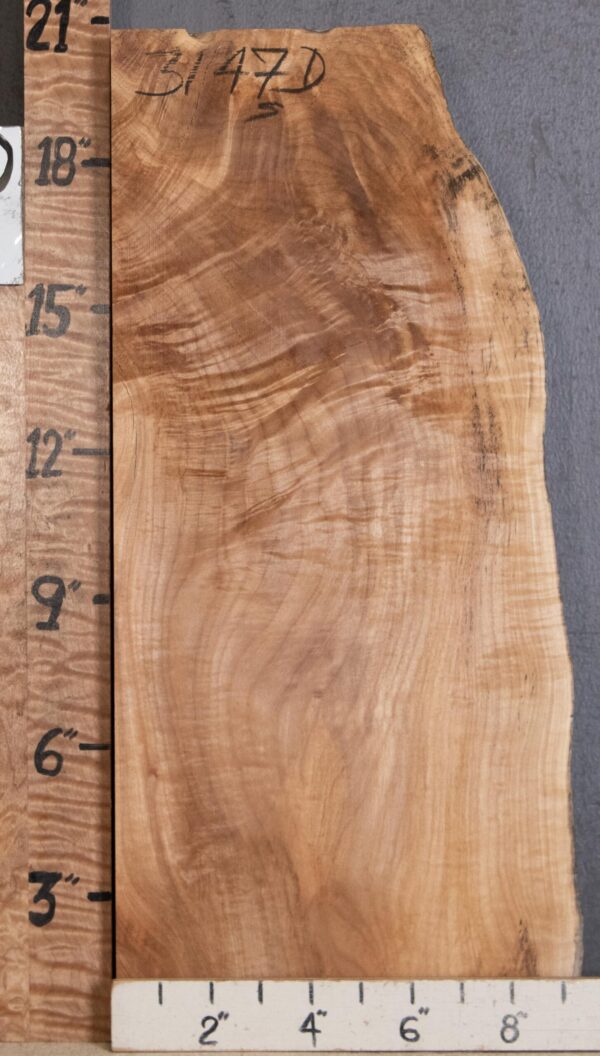 5A Burl Curly Maple with Live Edge Lumber 8" X 20" X 2"7/8 (NWT-3147D) - Image 2