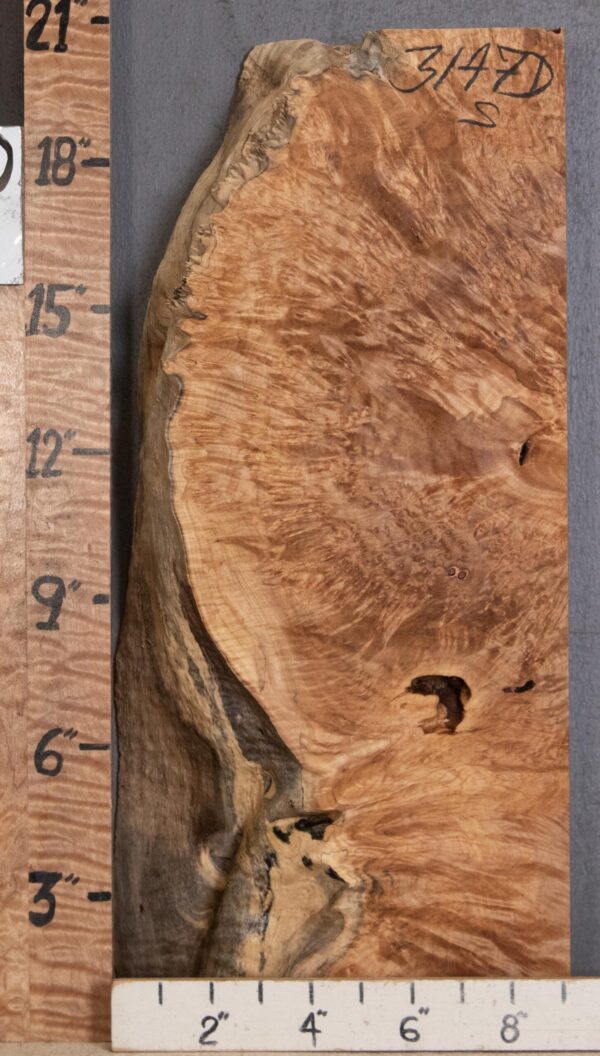 5A Burl Curly Maple with Live Edge Lumber 8" X 20" X 2"7/8 (NWT-3147D)