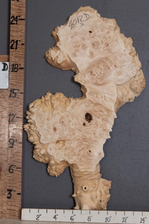 5A Burl Maple