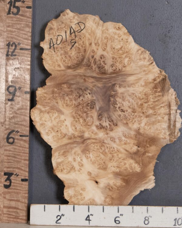 5A Burl Maple