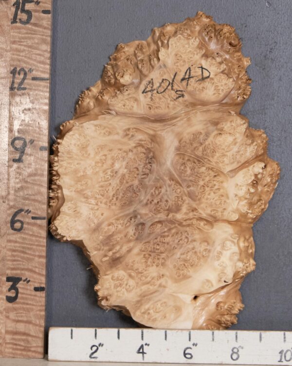 5A Burl Maple