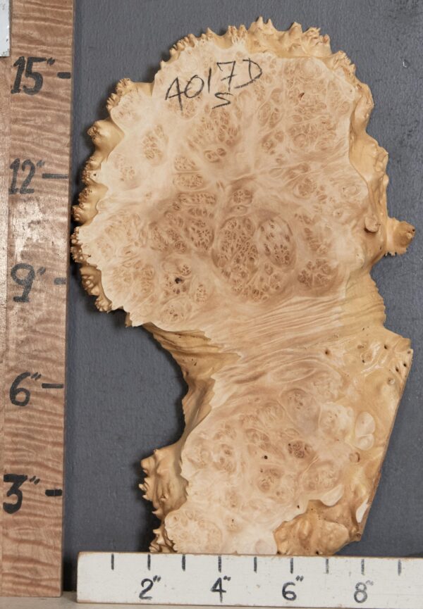 5A Burl Maple