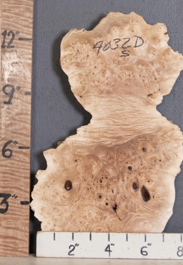 5A Burl Maple