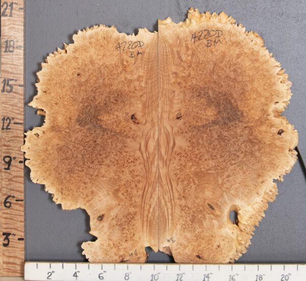 5A Burl Maple