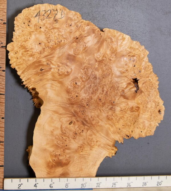 5A Burl Maple