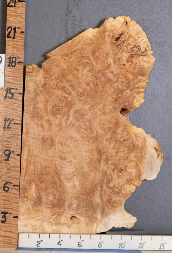 5A Burl Maple