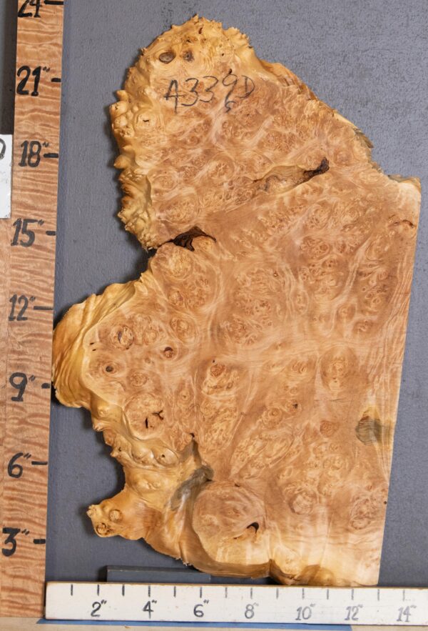 5A Burl Maple