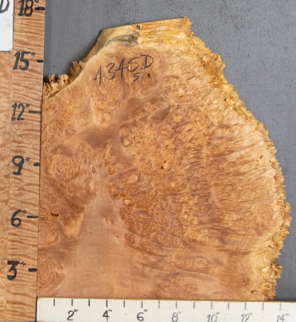 5A Block Burl Maple