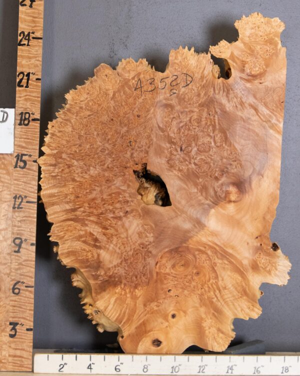 5A Cap Burl Maple