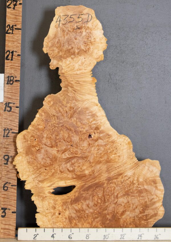 5A Cap Burl Maple