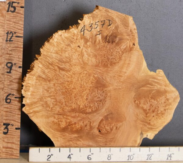 5A Cap Burl Maple