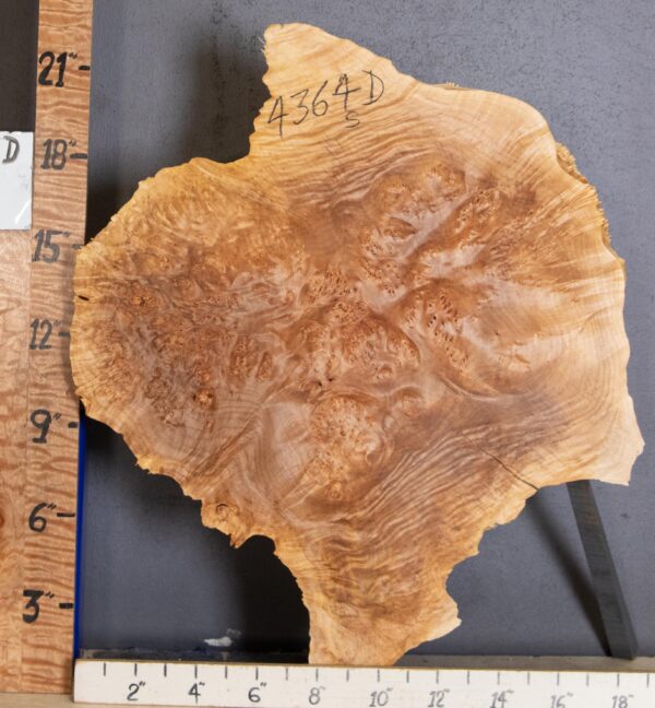 5A Cap Burl Maple