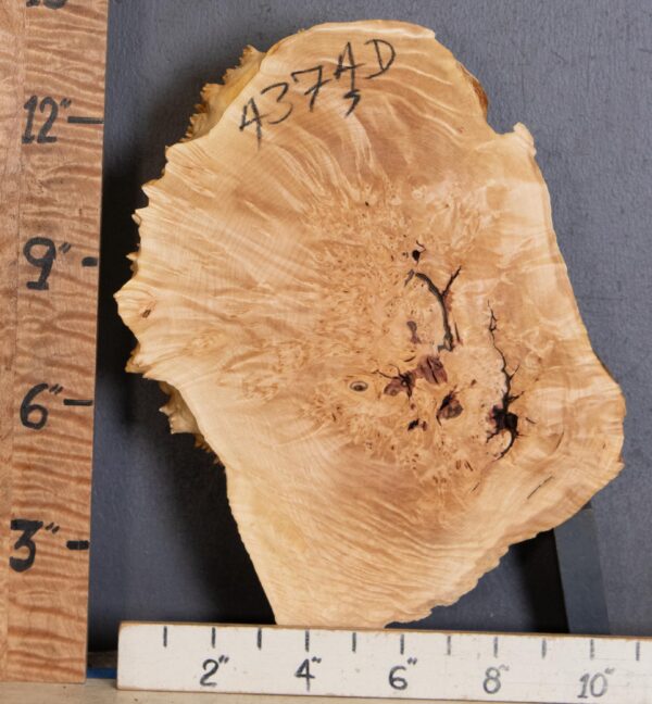 5A Cap Burl Maple