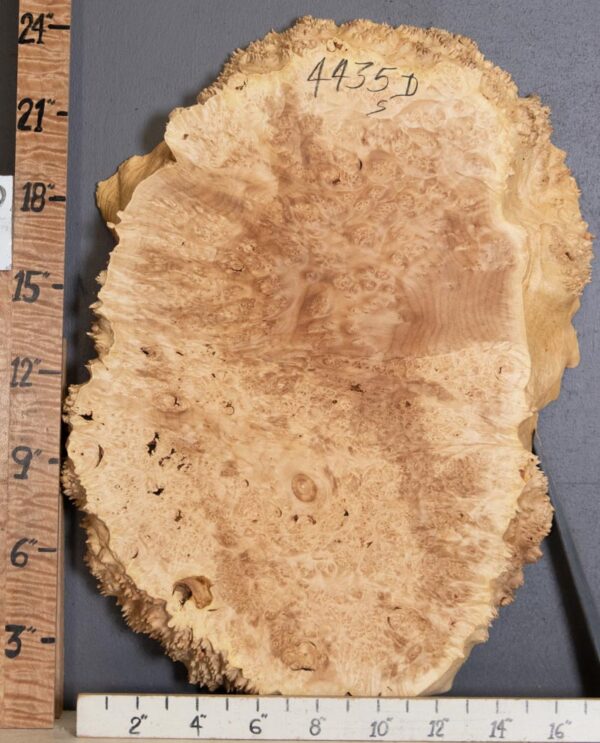 5A Burl Maple