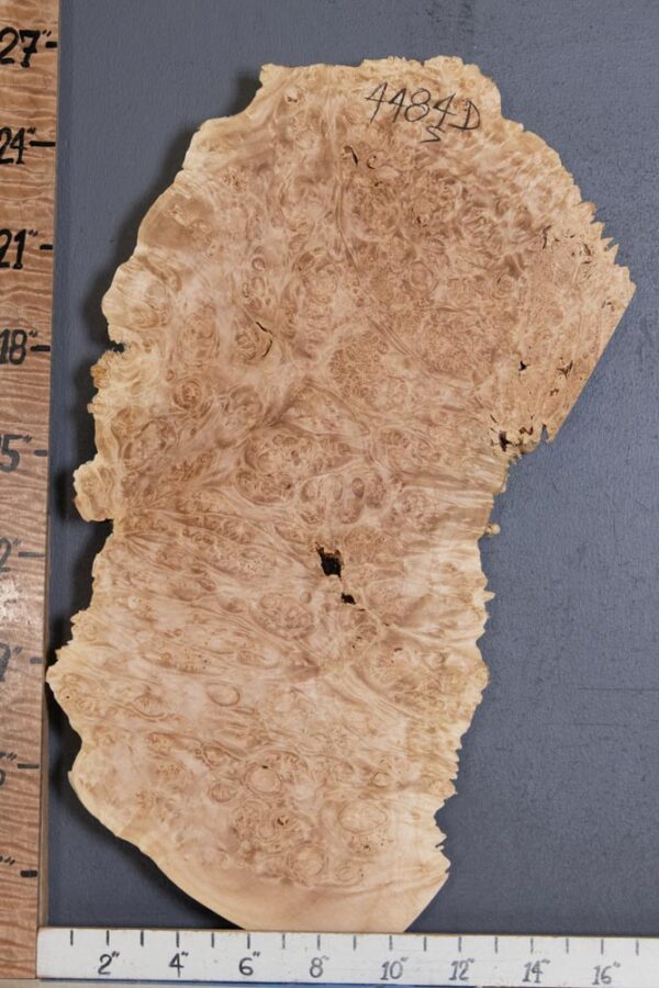 5A Burl Maple