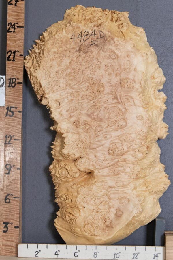 5A Burl Maple