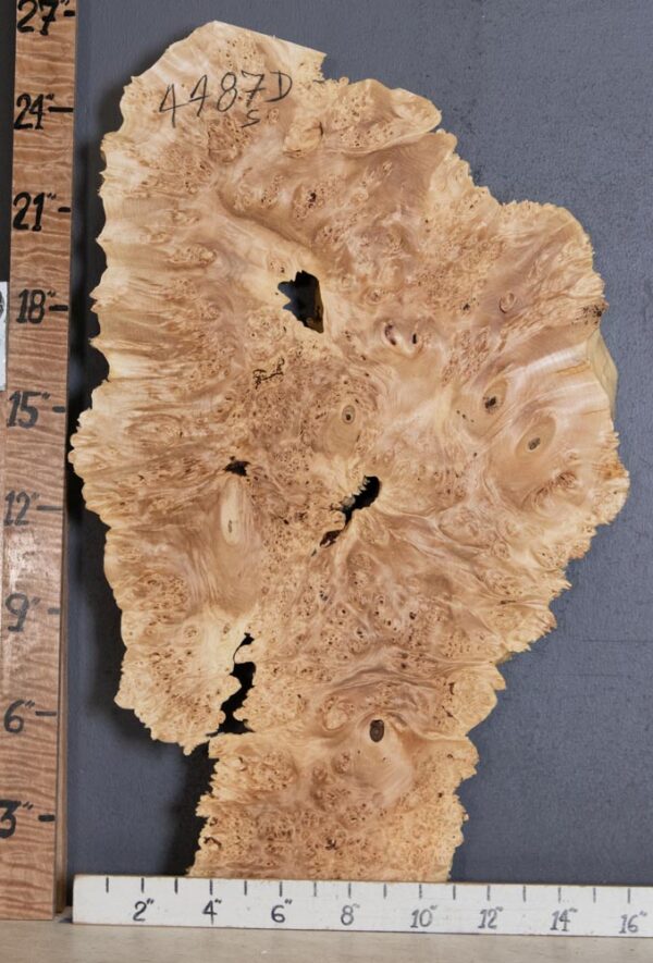 5A Burl Maple