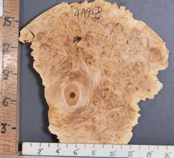 5A Burl Maple