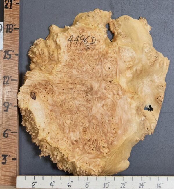 5A Burl Maple