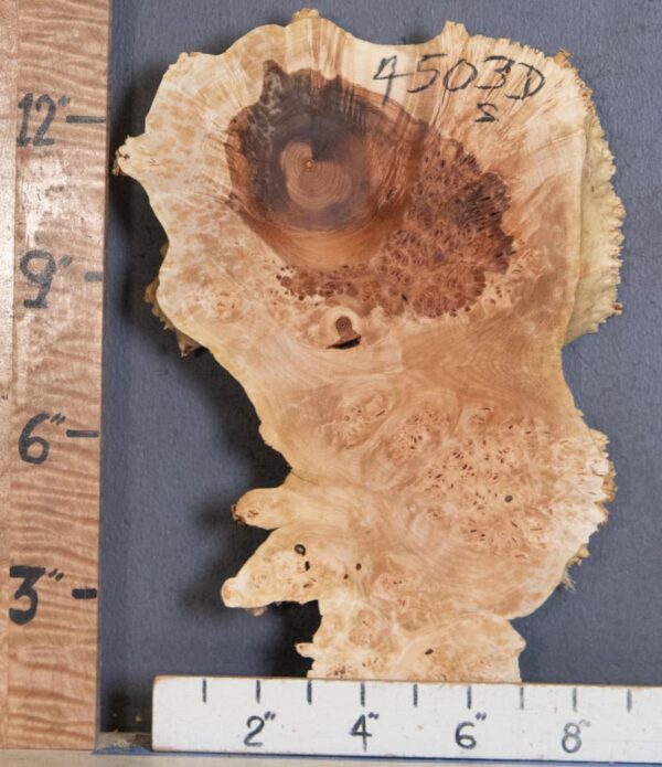 5A Burl Maple