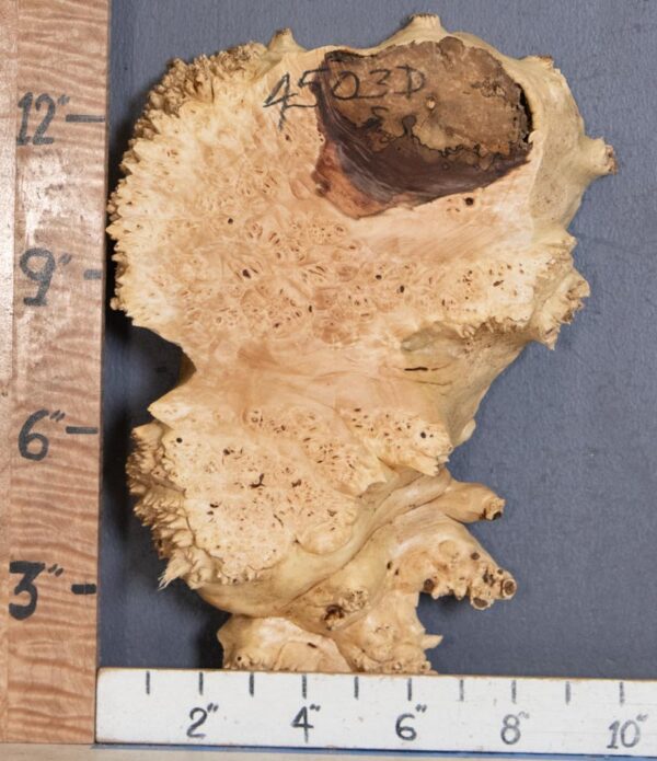 5A Burl Maple