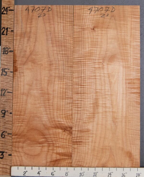 5A Curly Maple