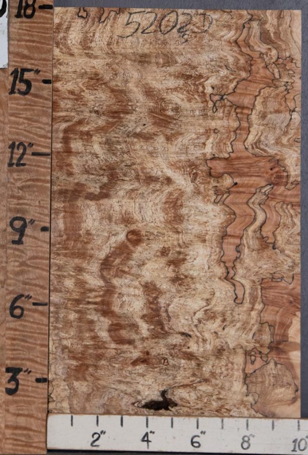 5A Spalted Curly Maple