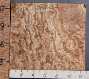 5A Spalted Curly Maple