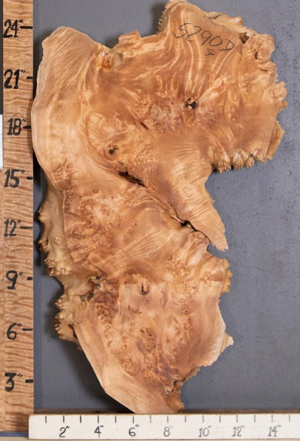 5A Burl Maple