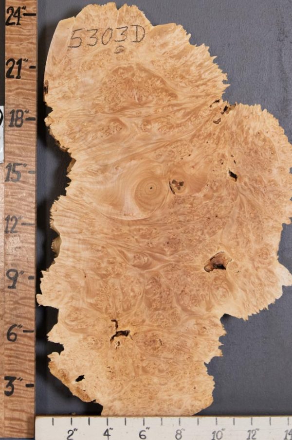 5A Burl Maple