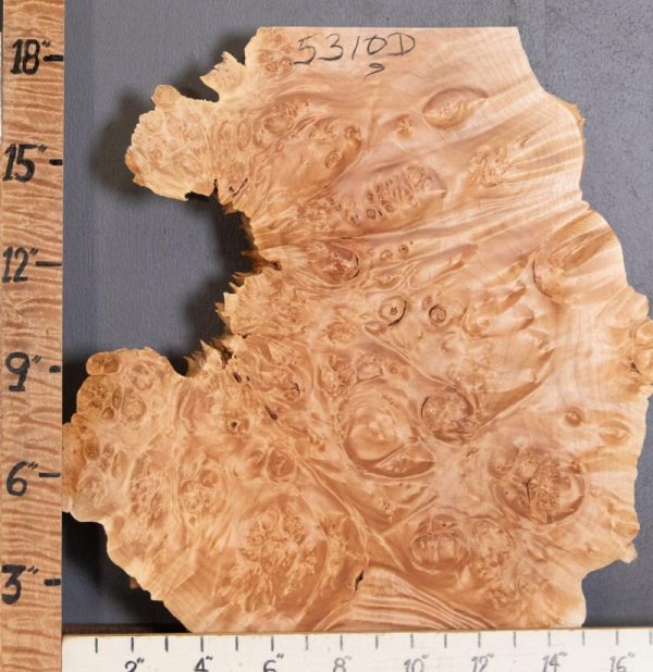 5A Burl Maple