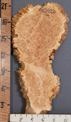 5A Burl Maple