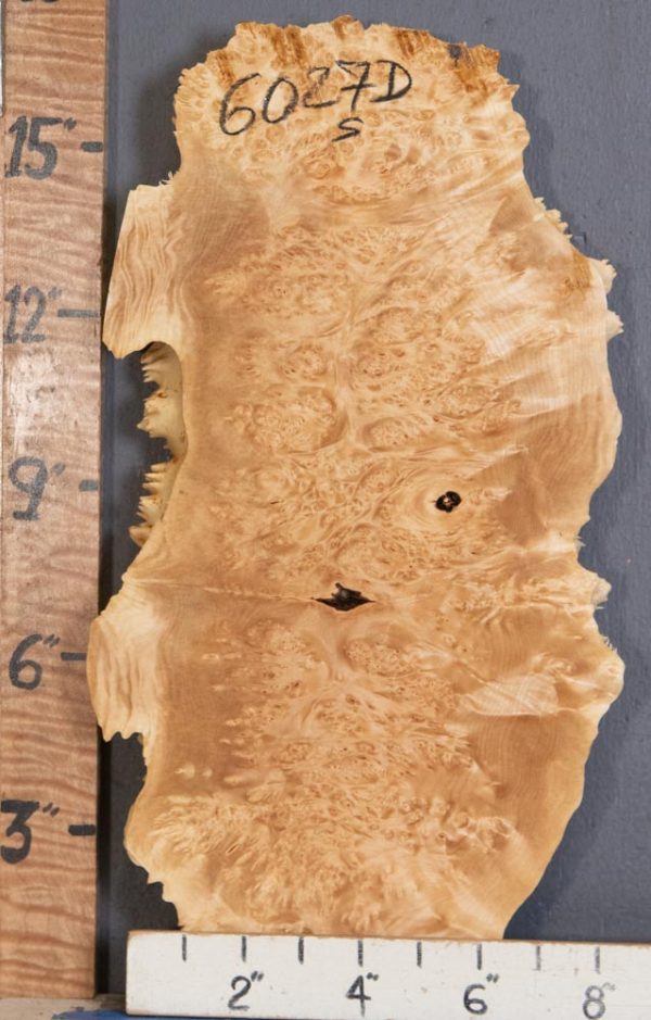 5A Burl Maple