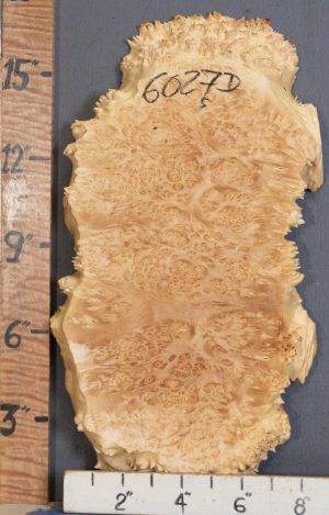 5A Burl Maple