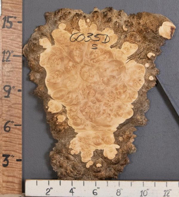 5A Burl Maple