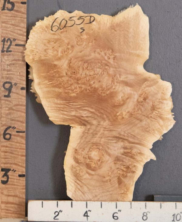 5A Burl Maple