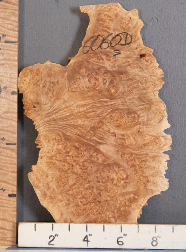 5A Burl Maple