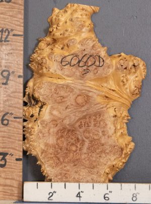 5A Burl Maple