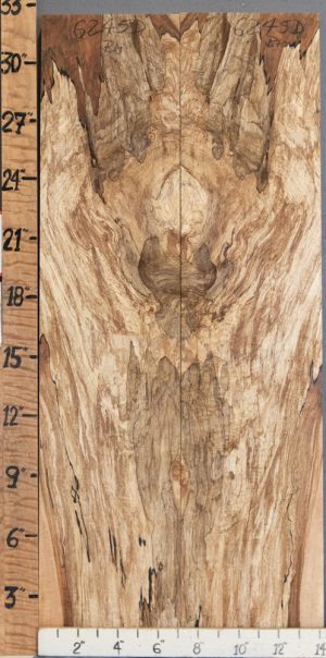 5A Spalted Maple