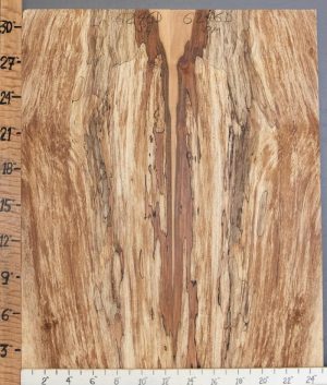 5A Spalted Maple