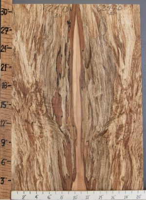 5A Spalted Maple