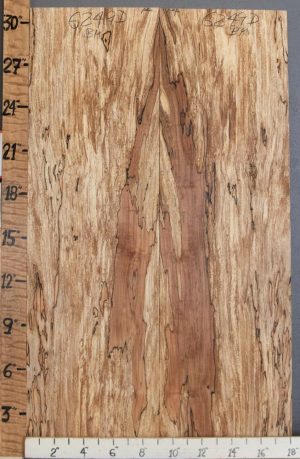 5A Spalted Maple