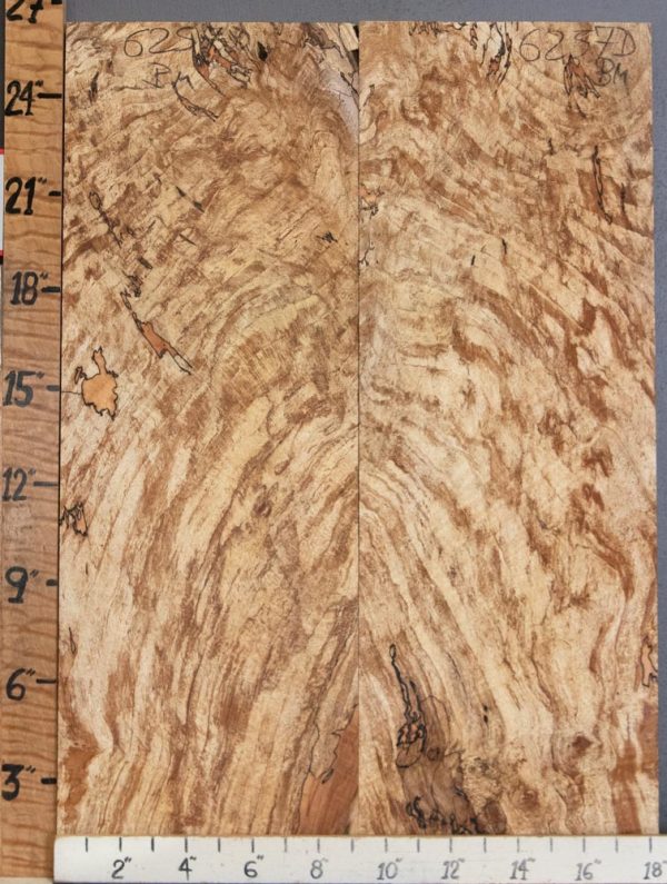 5A Spalted Maple