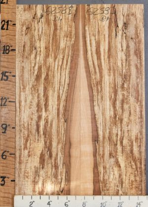 5A Spalted Maple