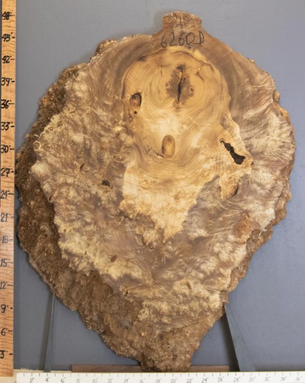 5A Burl Myrtlewood