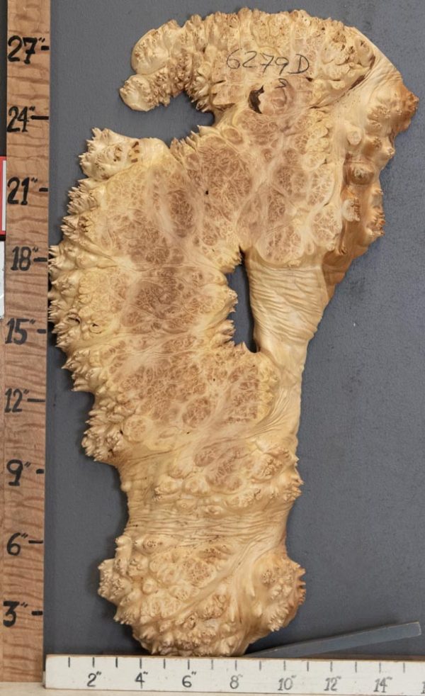 5A Burl Maple